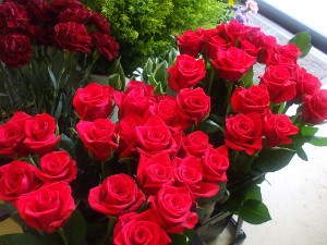 120602-1.jpg