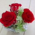 redrose3500.jpg