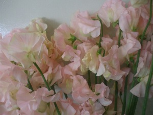 120227-3.jpg