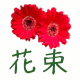 po.gif